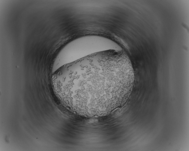 X0000098110162200804251436