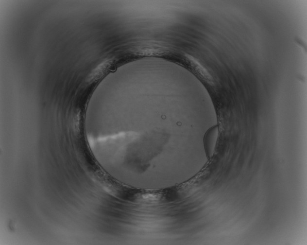 X0000098110163200804251436