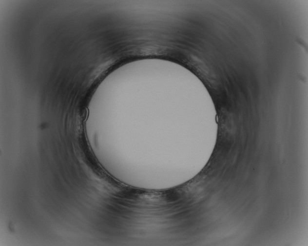 X0000098110164200804251436