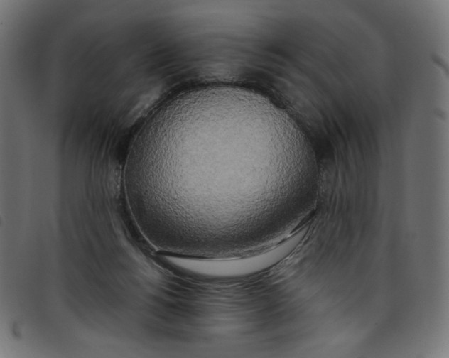 X0000098110168200804251436