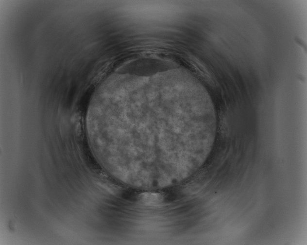 X0000098110169200804251436