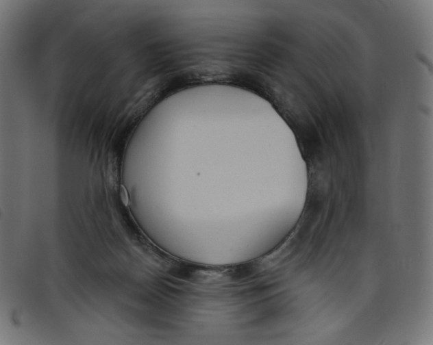 X0000098110170200804251436