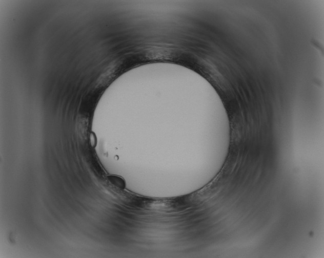 X0000098110171200804251436