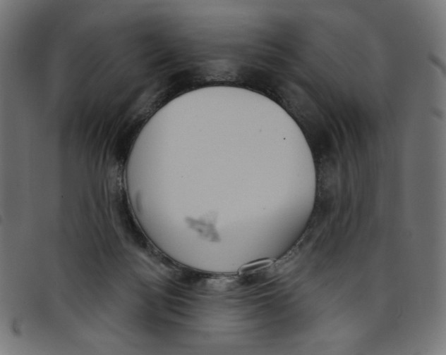 X0000098110172200804251436