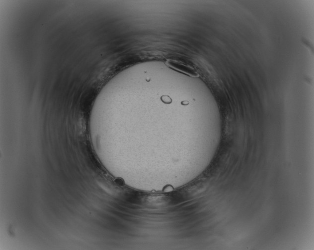 X0000098110173200804251436