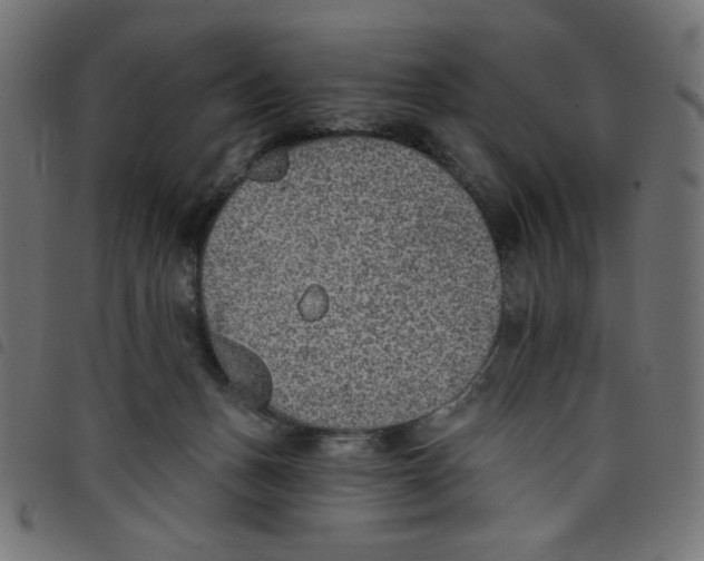 X0000098110175200804251436