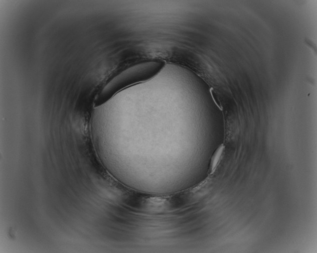 X0000098110176200804251436