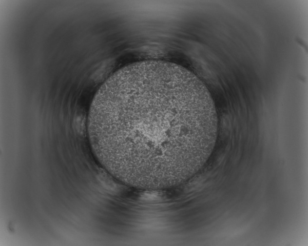 X0000098110177200804251436