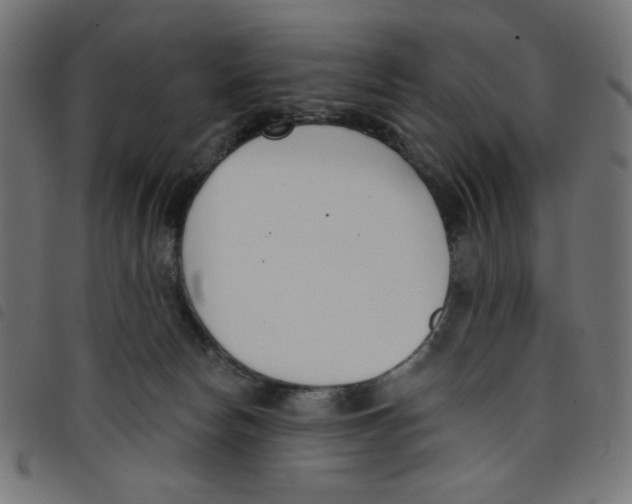 X0000098110178200804251436