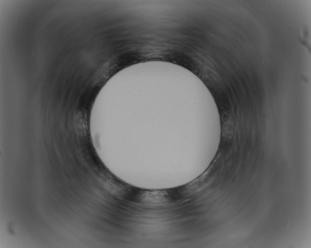 X0000098110179200804251436