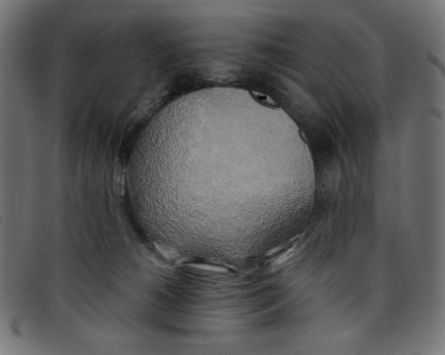 X0000098110180200804251436