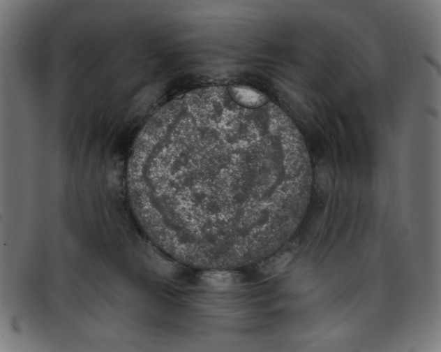 X0000098110181200804251436