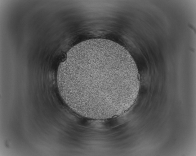 X0000098110182200804251436