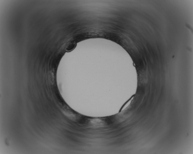 X0000098110183200804251436