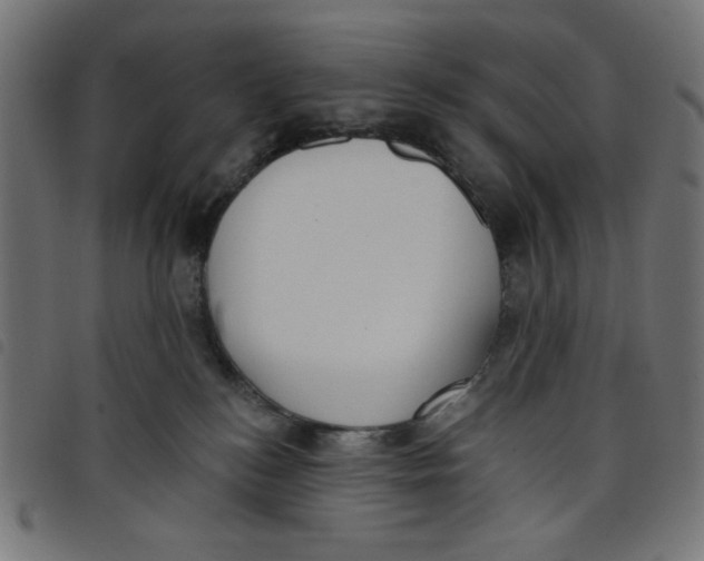 X0000098110184200804251436