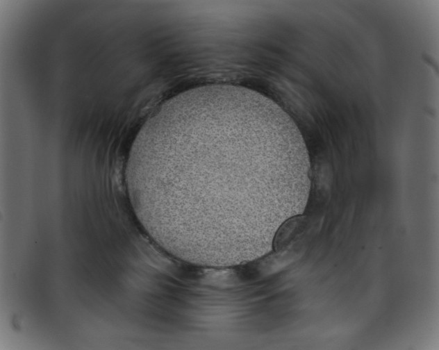 X0000098110185200804251437