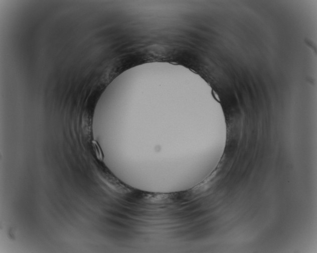 X0000098110186200804251437