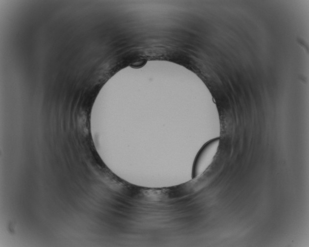 X0000098110187200804251437