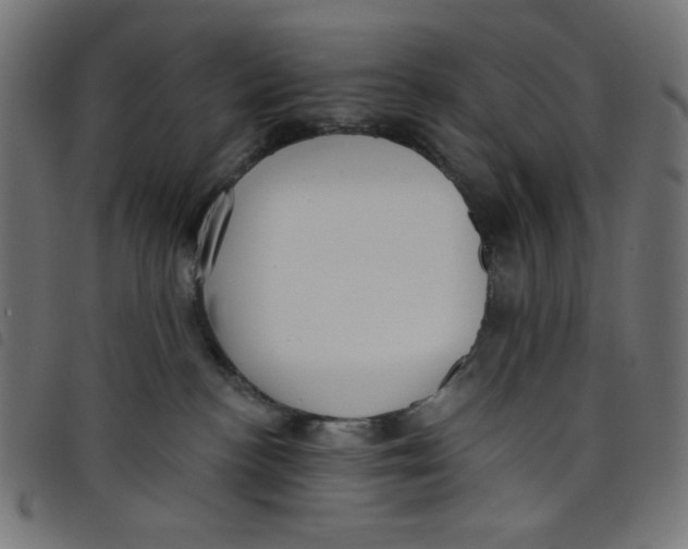 X0000098110188200804251437