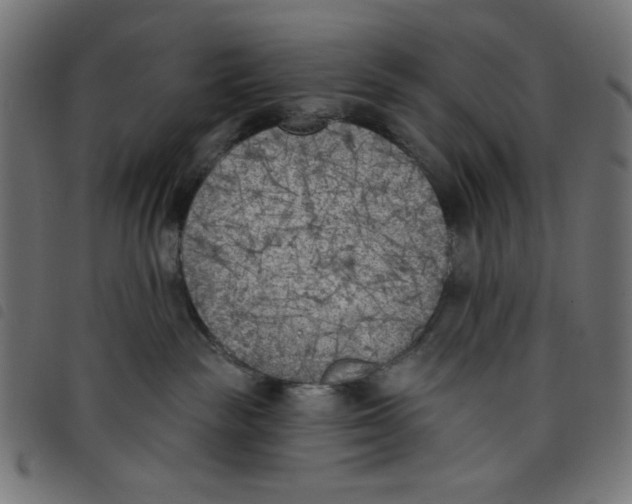 X0000098110189200804251437