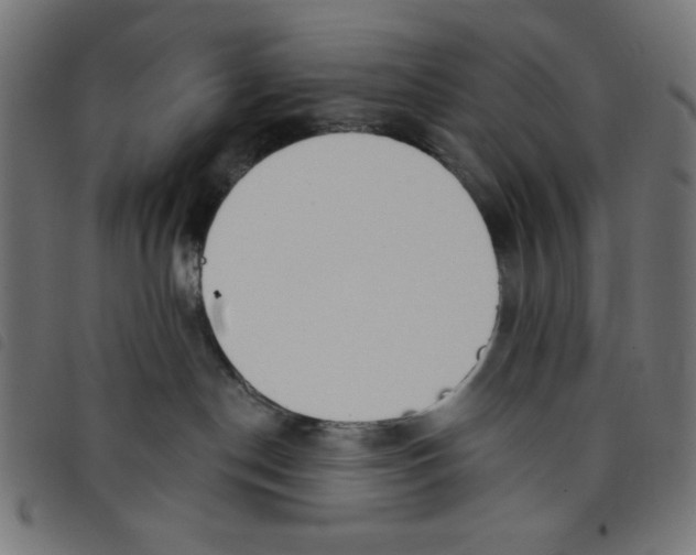 X0000098110190200804251437