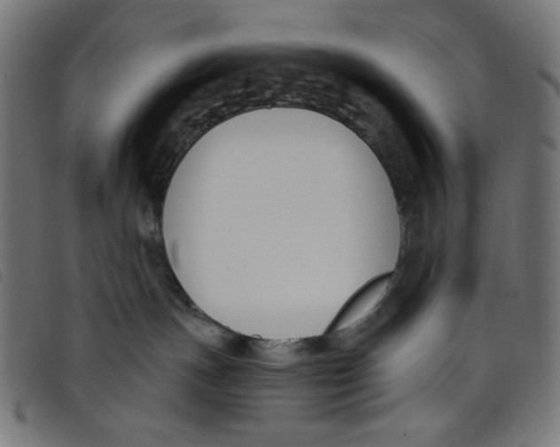 X0000098110191200804251437