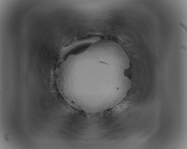 X0000098110192200804251437