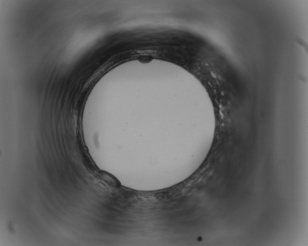 X0000098110194200804251436