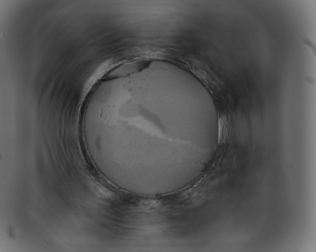 X0000098110195200804251436