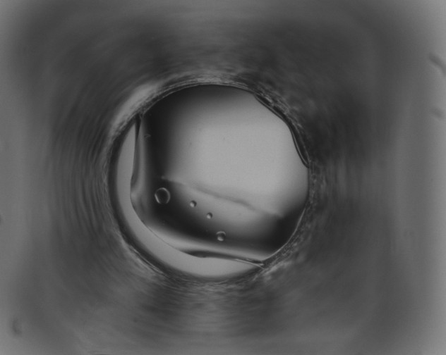 X0000098110197200804251436