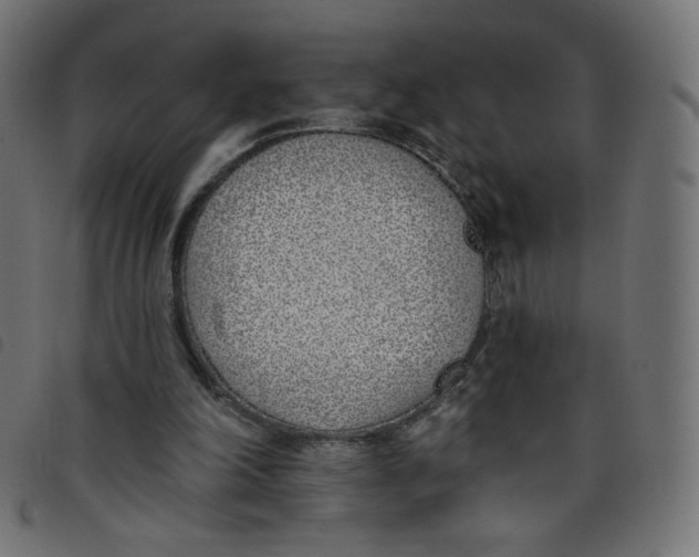 X0000098110198200804251436