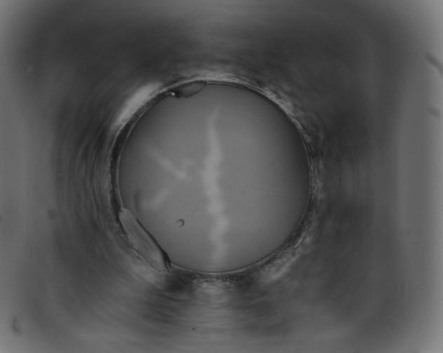 X0000098110199200804251436