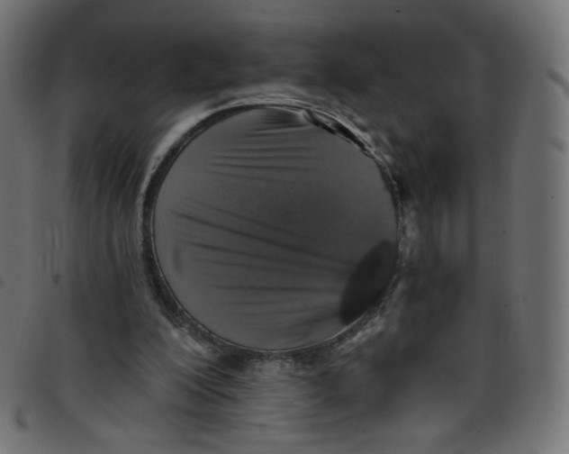 X0000098110200200804251436