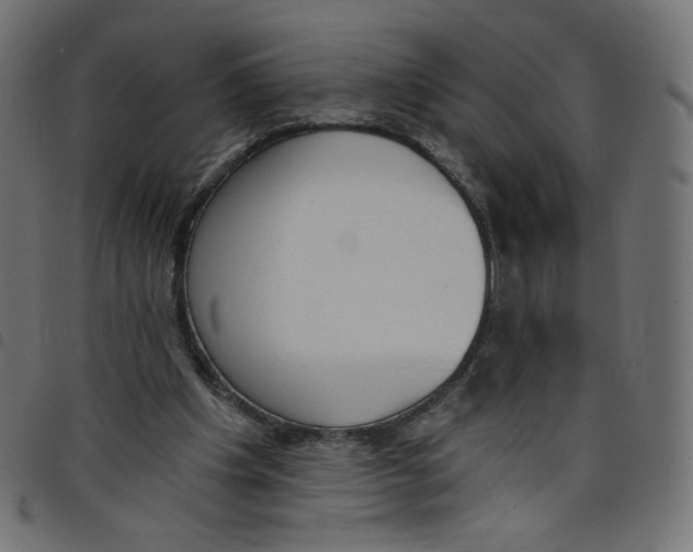 X0000098110201200804251436