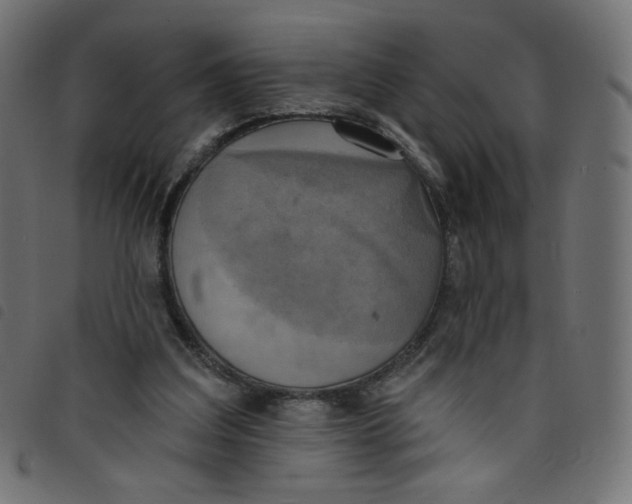 X0000098110203200804251436