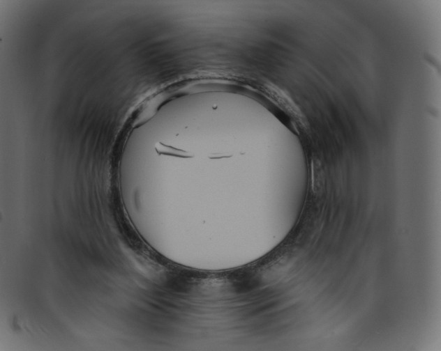 X0000098110204200804251436