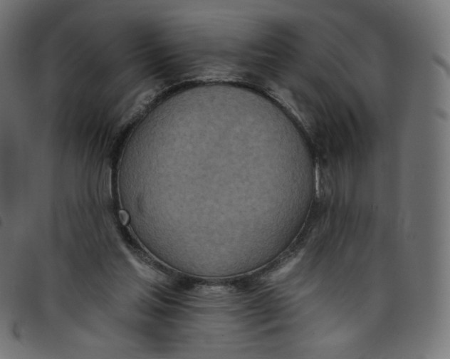 X0000098110205200804251436