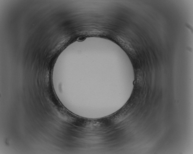 X0000098110206200804251436