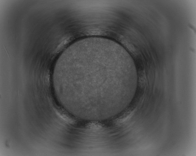 X0000098110207200804251436