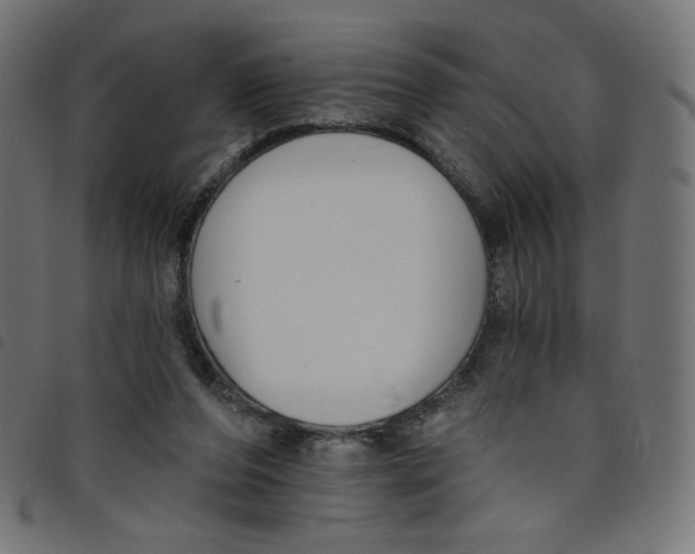 X0000098110208200804251436