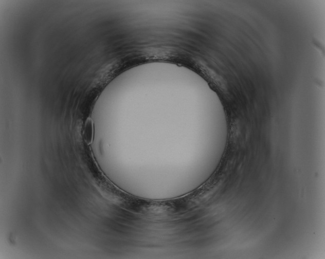 X0000098110209200804251436