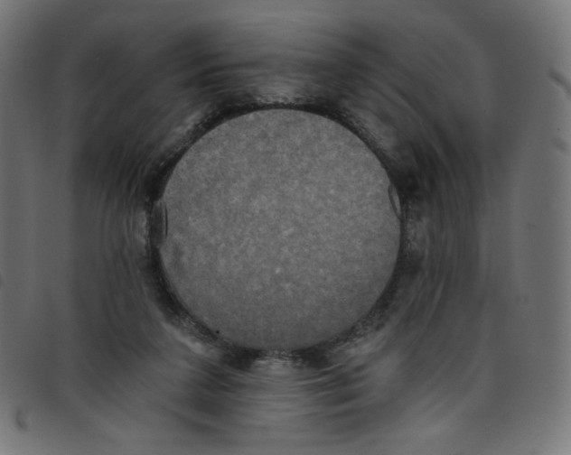 X0000098110211200804251436