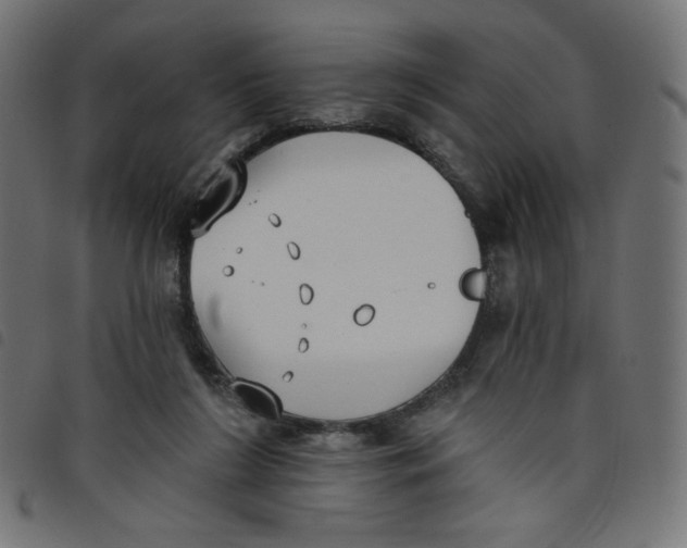 X0000098110212200804251436