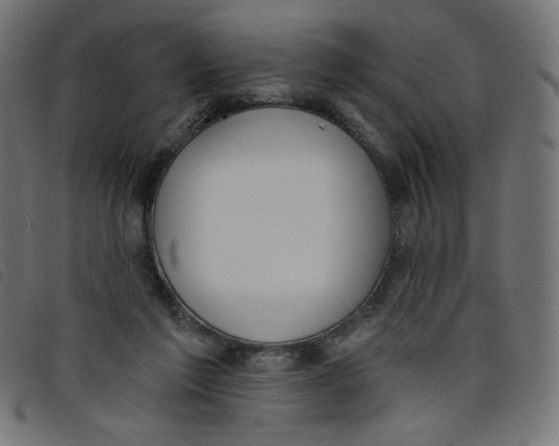 X0000098110213200804251435