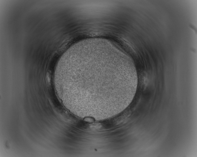 X0000098110214200804251435