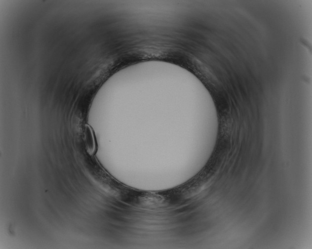 X0000098110215200804251435