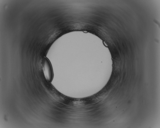 X0000098110216200804251435