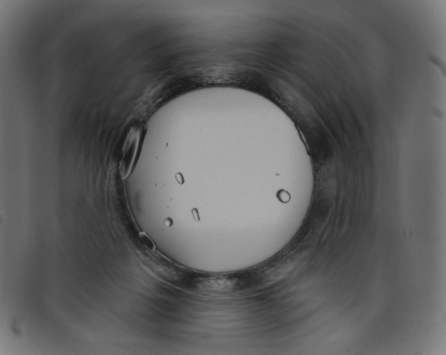 X0000098110217200804251435