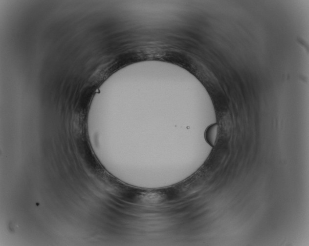 X0000098110218200804251435