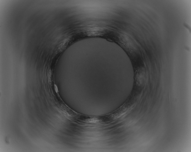 X0000098110219200804251435